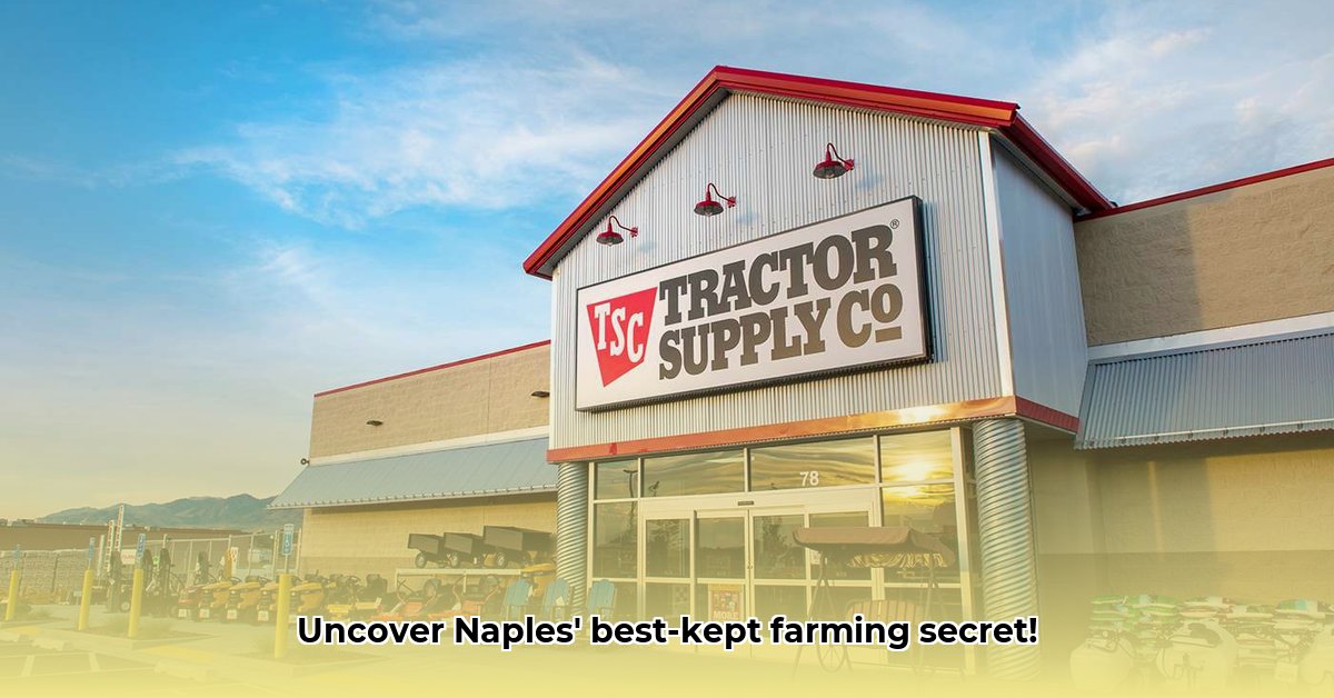 tractor-supply-naples